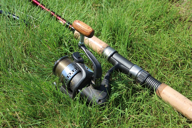 lawn-640x480-92686060.jpeg