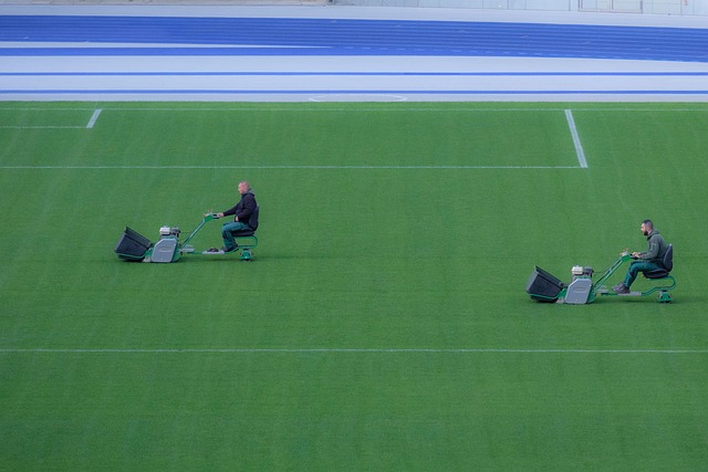 lawn