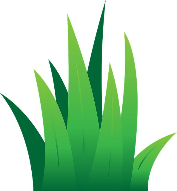 lawn-640x480-95174589.png