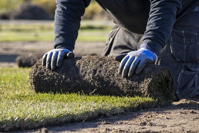 lawn-640x480-95203673.jpeg