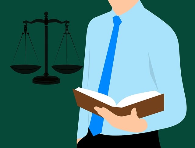lawyer
