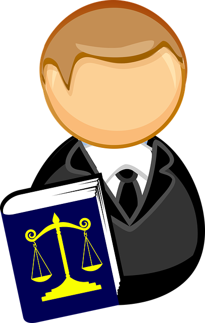lawyer