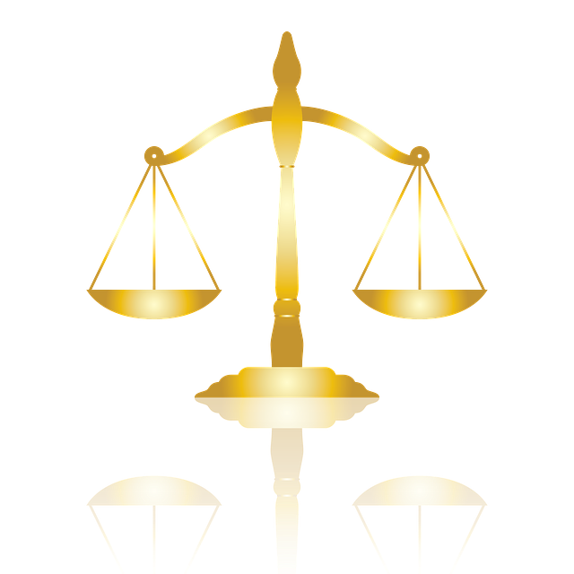 lawyer