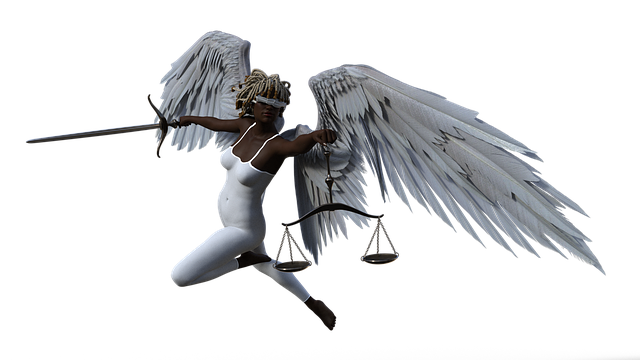 lawyer