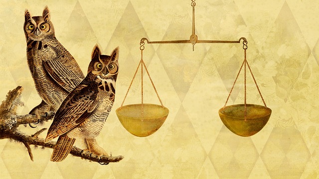 negotiation-640x480-30597783.jpeg