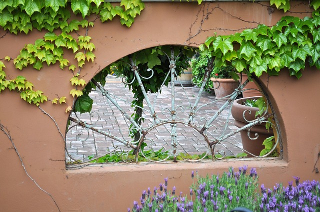 patio-640x480-20527632.jpeg