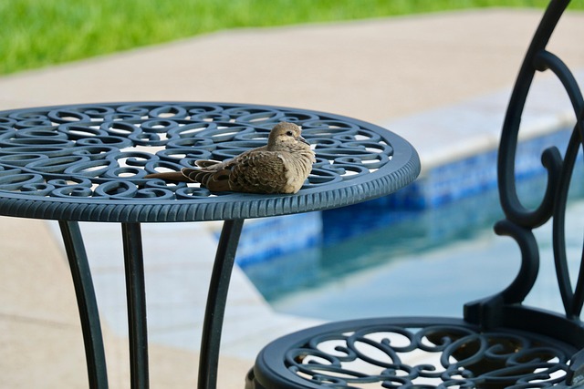 patio-640x480-29603012.jpeg