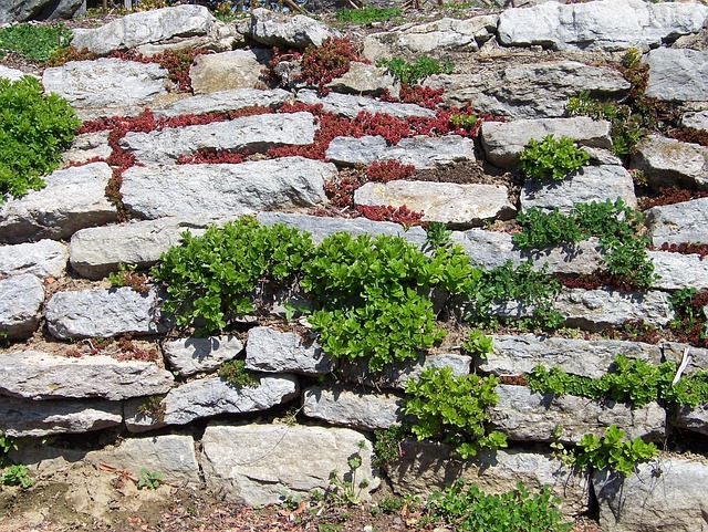 retaining wall