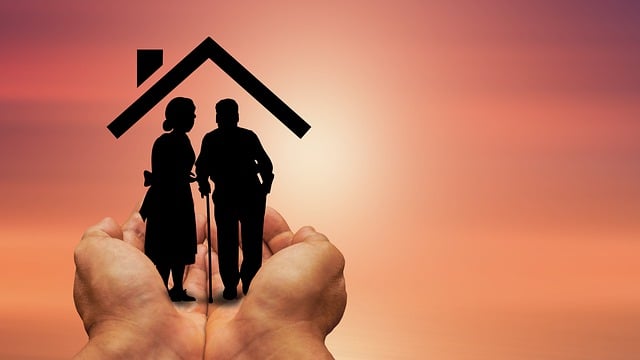 Estate Planning Excellence in Olympia: Unlocking Peace of Mind