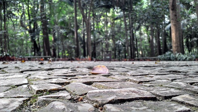 sidewalk-640x480-13853979.jpeg