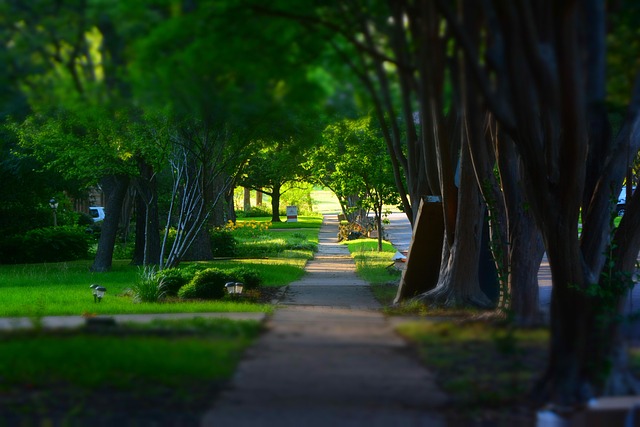 sidewalk