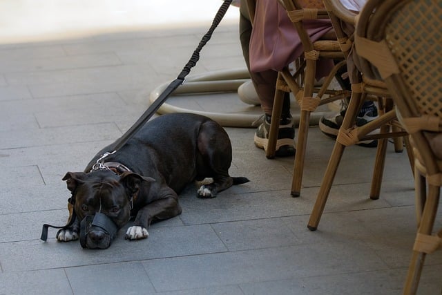 sidewalk-640x480-61246550.jpeg