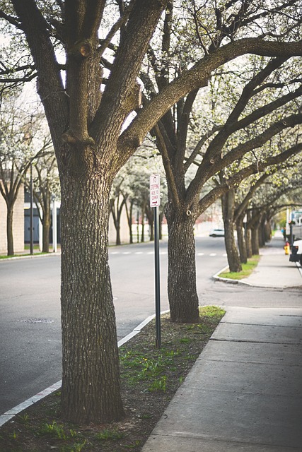sidewalk