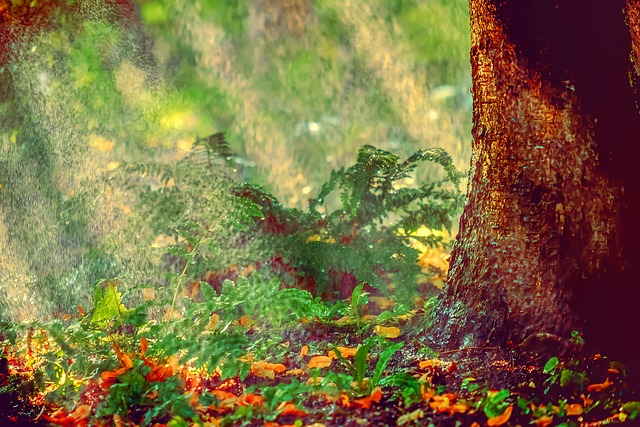 sprinklers