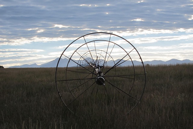 sprinklers-640x480-12821839.jpeg