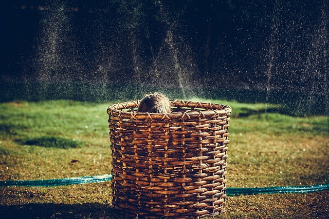 sprinklers-640x480-19816807.jpeg
