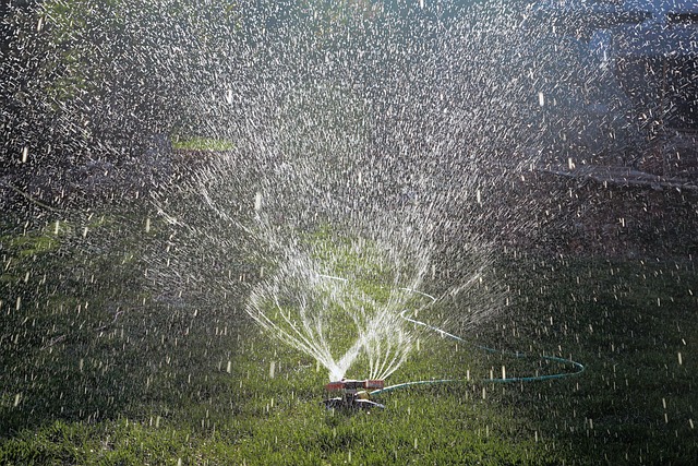 sprinklers