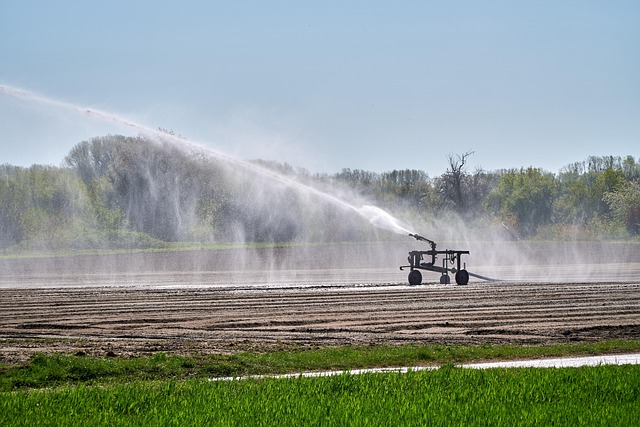sprinklers