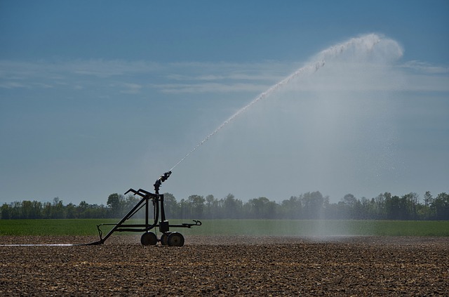 sprinklers