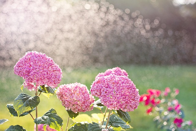 sprinklers