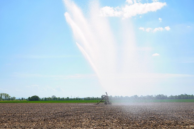 sprinklers