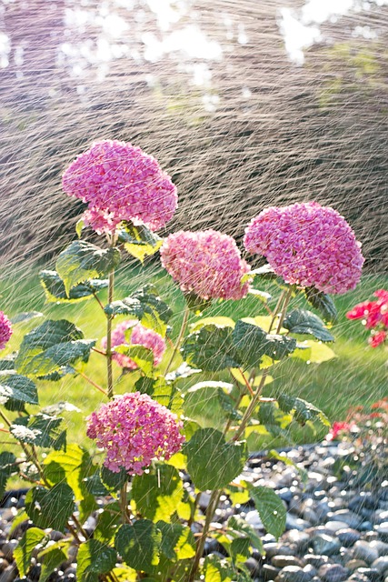 sprinklers