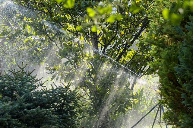 sprinklers