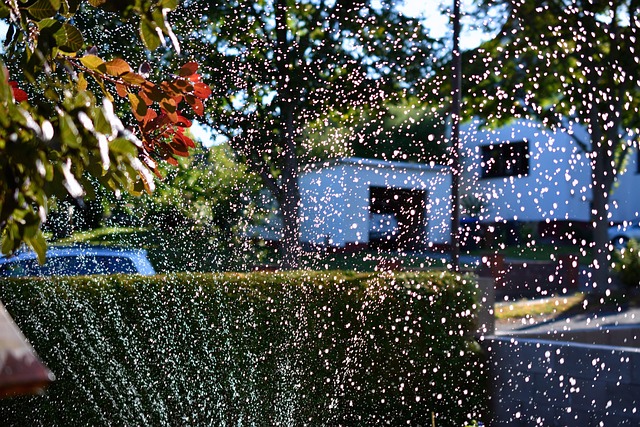 sprinklers-640x480-49673146.jpeg