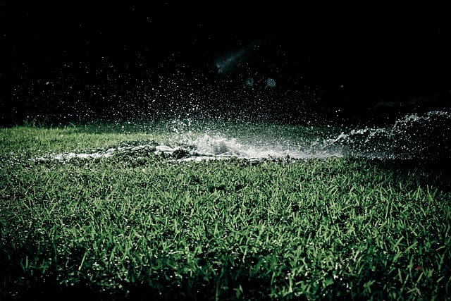 sprinklers