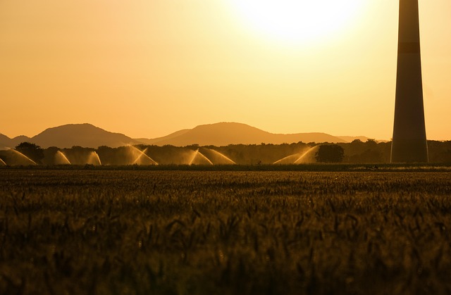 sprinklers-640x480-51339447.jpeg