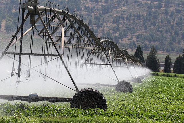 sprinklers