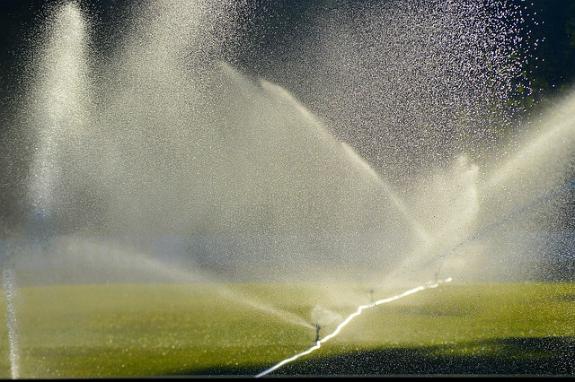 sprinklers-640x480-61784397.jpeg