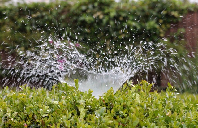 sprinklers