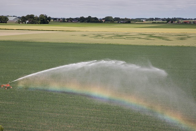 sprinklers-640x480-67131114.jpeg