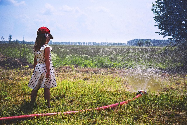 sprinklers-640x480-67615764.jpeg