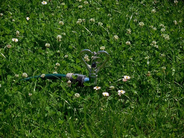sprinklers