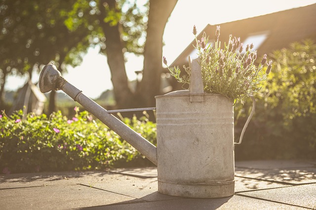 Automate Your Yard: Portland’s Premium Sprinkler System Installation Guide