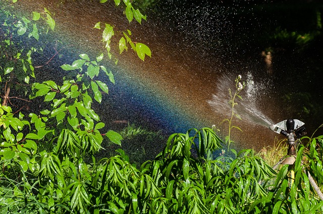 sprinklers