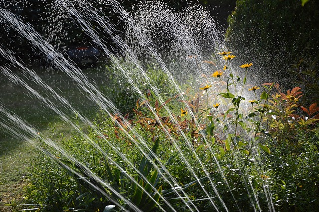 sprinklers-640x480-864228.jpeg