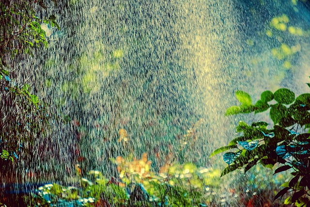 sprinklers