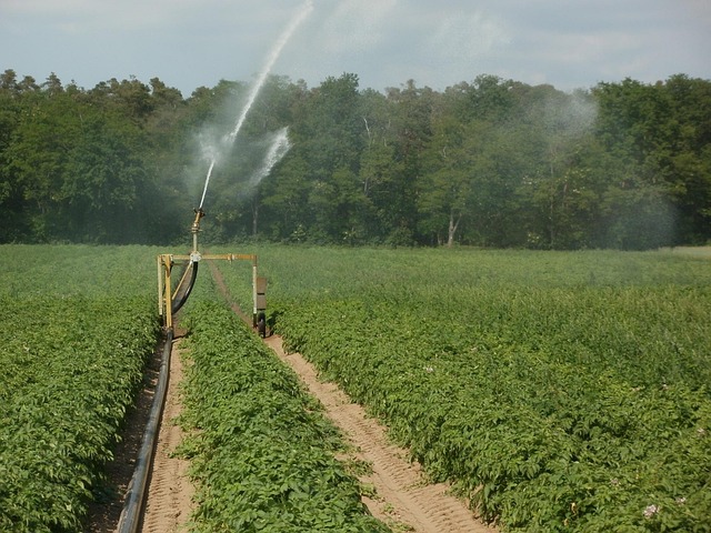 sprinklers-640x480-95806048.jpeg