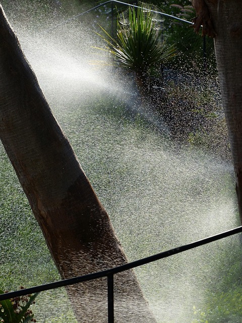 sprinklers-640x480-97962904.jpeg