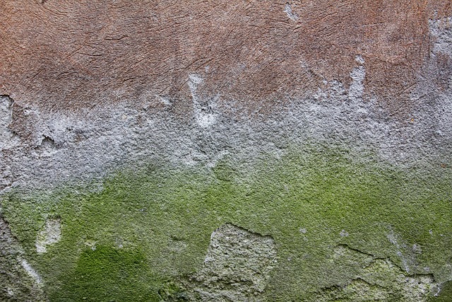 stained concrete