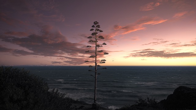 tree
