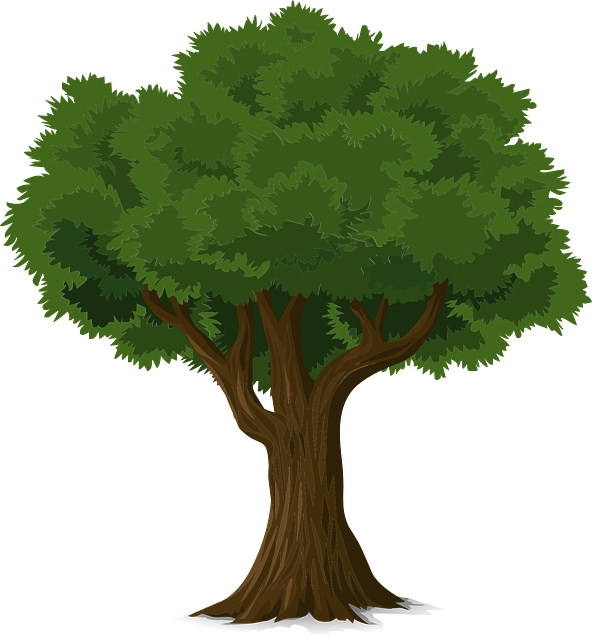 tree