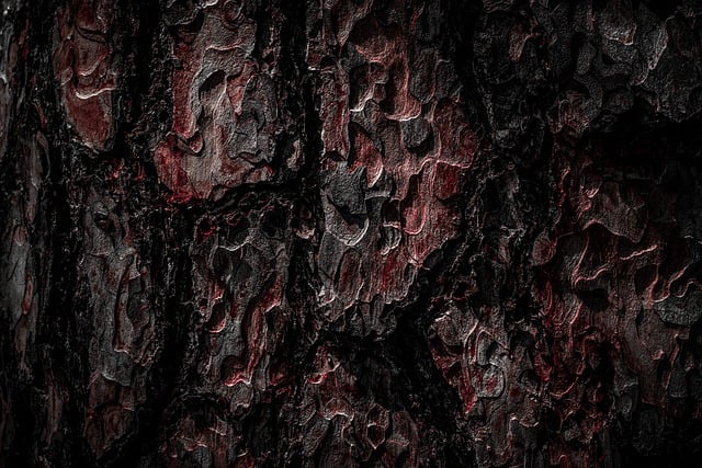 tree-640x480-16441228.jpeg