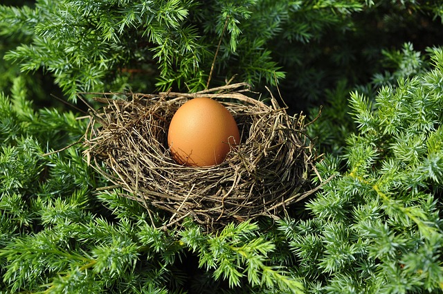 tree-640x480-31671750.jpeg