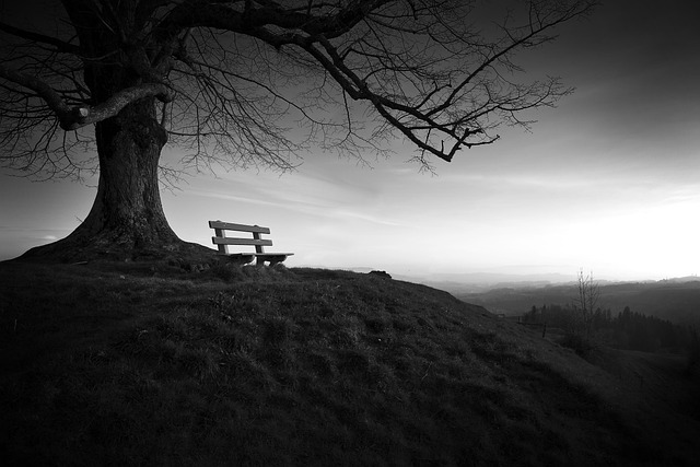 tree-640x480-33948217.jpeg