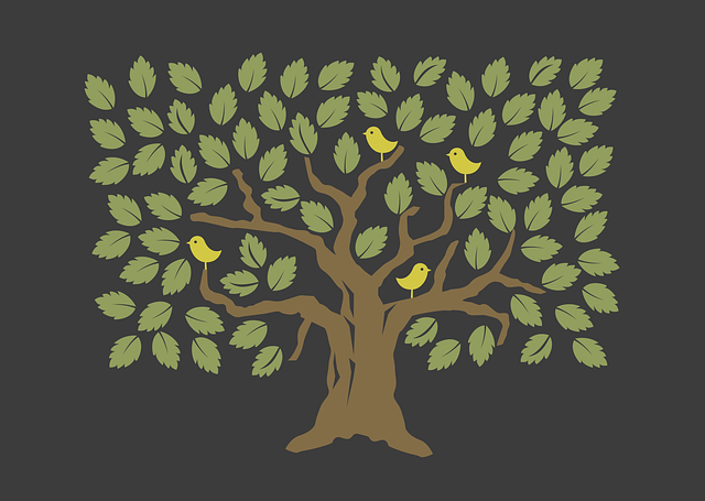 tree-640x480-43512321.png