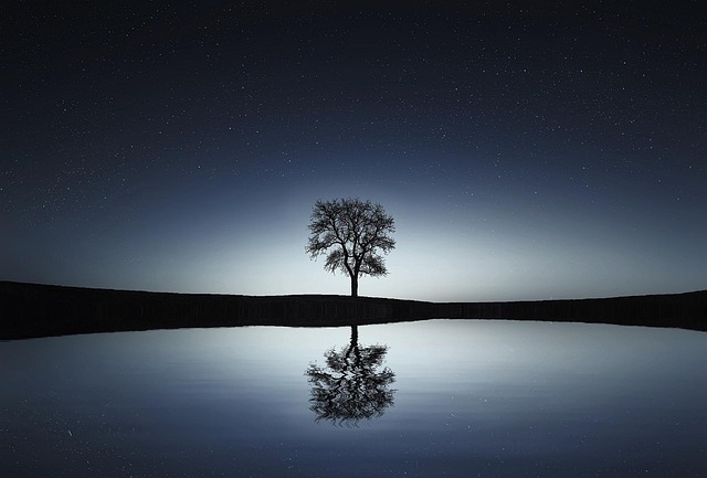 tree